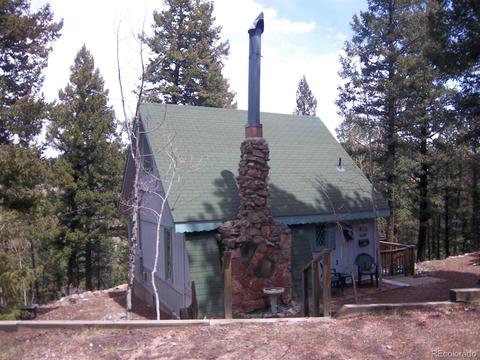 15041 S Delta Ln, Pine, CO 80470 photo 1