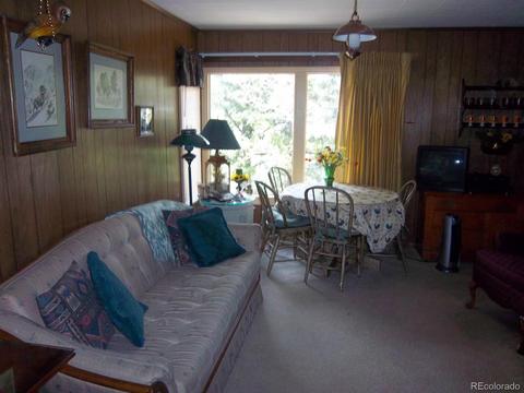 15041 S Delta Ln, Pine, CO 80470 photo 4