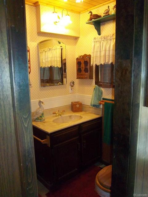 15041 S Delta Ln, Pine, CO 80470 photo 12