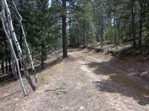 15041 S Delta Ln, Pine, CO 80470 photo 19