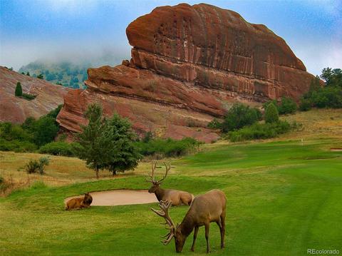 5542 Golf Course Dr, Morrison, CO 80465 photo 36