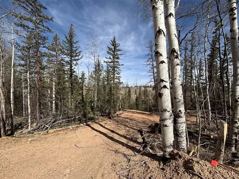 509 Tepee Trl, Como, CO 80432 photo 10