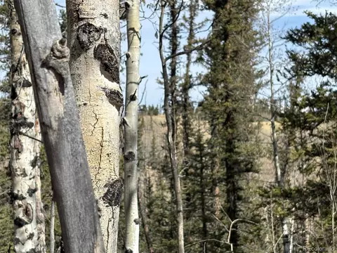 509 Tepee Trl, Como, CO 80432 photo 33