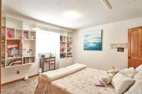 11711 Baca Rd, Conifer, CO 80433 photo 15