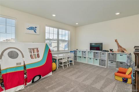 6750 E 135th Ln, Thornton, CO 80602 photo 17