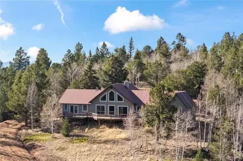 Exterior - 1008 Cantiberry Rd, Divide, CO 80814 photo 2 of 8