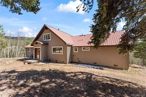 Exterior - 1008 Cantiberry Rd, Divide, CO 80814 photo 6 of 8