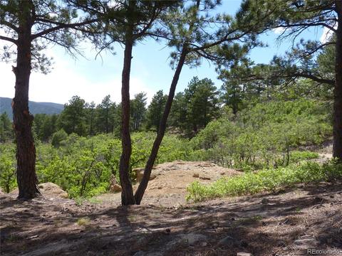 3250 Hamal Cir, Monument, CO 80132 photo 5