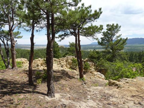 3250 Hamal Cir, Monument, CO 80132 photo 6