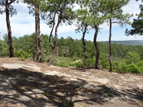 3250 Hamal Cir, Monument, CO 80132 photo 10