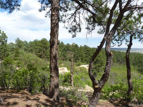 3250 Hamal Cir, Monument, CO 80132 photo 8