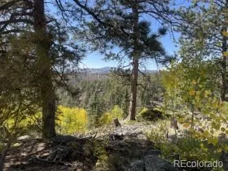3203 Highlands Meadows Dr, Florissant, CO 80816