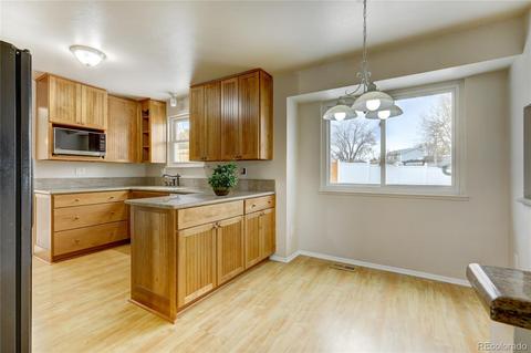 4841 E 113th Ave, Thornton, CO 80233 photo 12