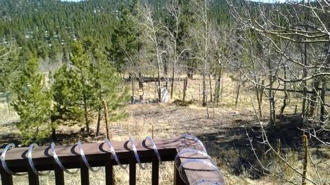 68 Obrien, Bailey, CO 80421 photo 16