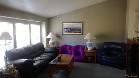 68 Obrien, Bailey, CO 80421 photo 3