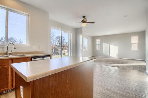 7780 E 129th Pl, Thornton, CO 80602 photo 10