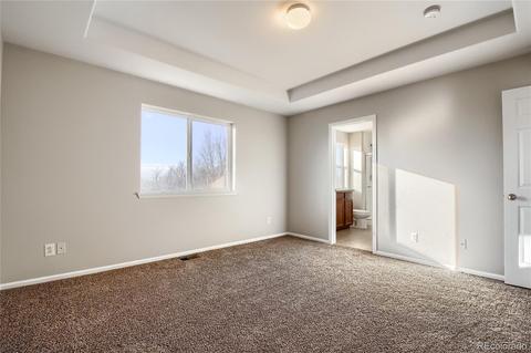 7780 E 129th Pl, Thornton, CO 80602 photo 14