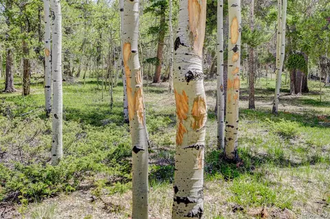300 Badger Rd, Black Hawk, CO 80422 photo 4
