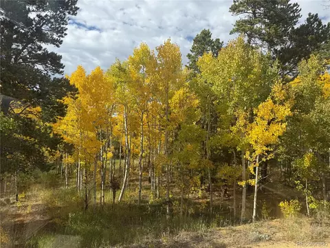 300 Badger Rd, Black Hawk, CO 80422 photo 3