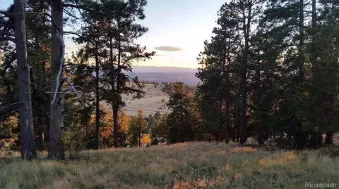 952 Penrose Cir, Cripple Creek, CO 80813