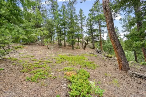 0 Eagle Cliff Trl, Conifer, CO 80433 photo 10