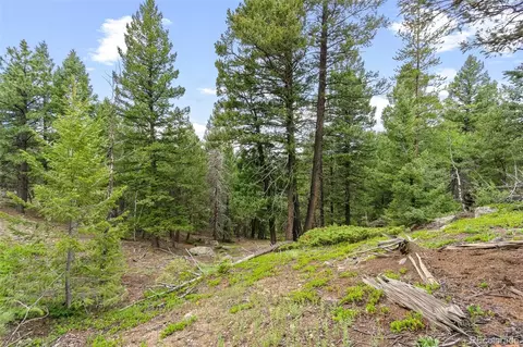 0 Eagle Cliff Trl, Conifer, CO 80433 photo 15