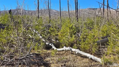 lot1460 Von Heyl Ln, Fort Garland, CO 81133
