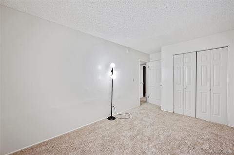 5181 Dillon St, Denver, CO 80239 photo 27