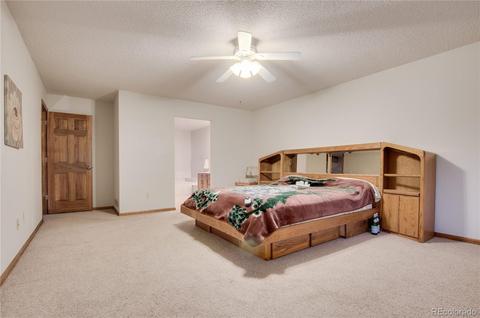 8211 Arrowhead Way, Lone Tree, CO 80124 photo 26