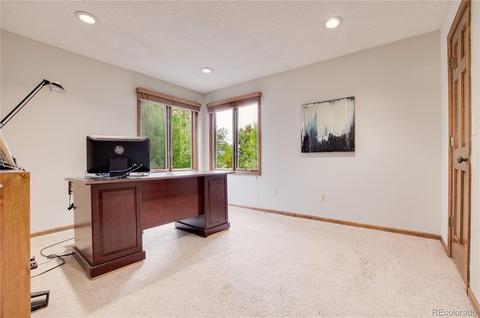 8211 Arrowhead Way, Lone Tree, CO 80124 photo 23