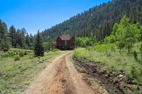 798 Stream Dr, Guffey, CO 80820 photo 2