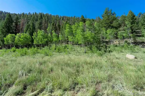 798 Stream Dr, Guffey, CO 80820 photo 38