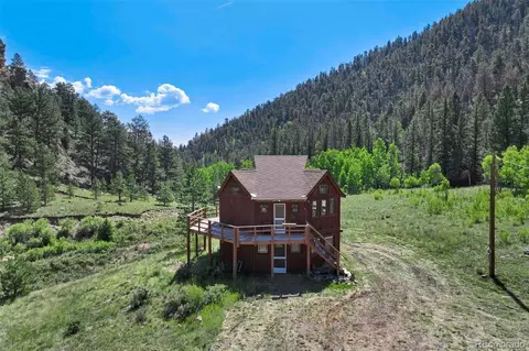 798 Stream Dr, Guffey, CO 80820 photo 5