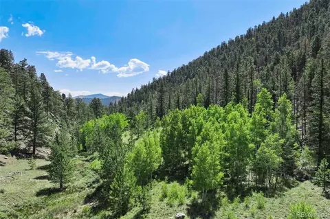 798 Stream Dr, Guffey, CO 80820 photo 42