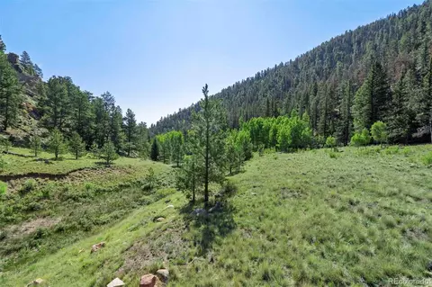 798 Stream Dr, Guffey, CO 80820 photo 33