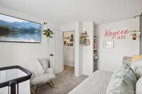 17826 E Colgate Pl, Aurora, CO 80013 photo 36