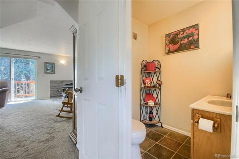 28311 Evergreen Dr, Conifer, CO 80433 photo 20