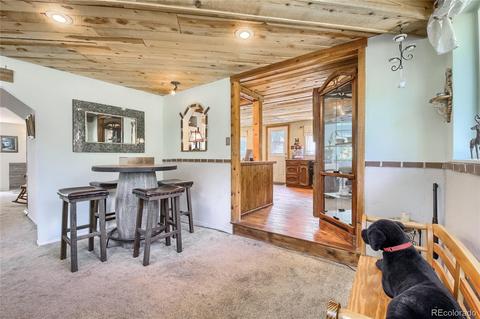 28311 Evergreen Dr, Conifer, CO 80433 photo 21