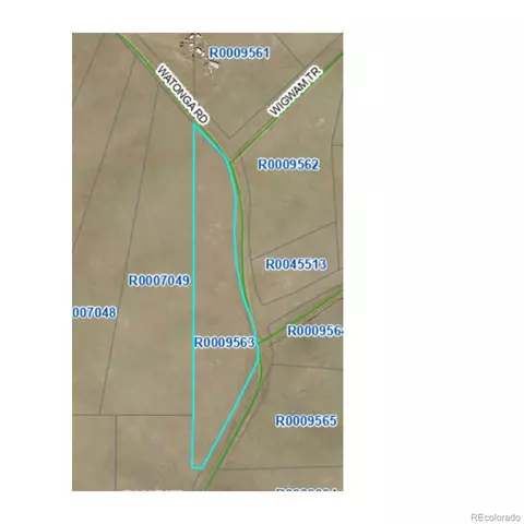 000 Watonga Rd, Hartsel, CO 80449