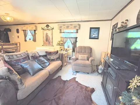 Living - 10594 Charles Ln, Rye, CO 81069 photo 1 of 1