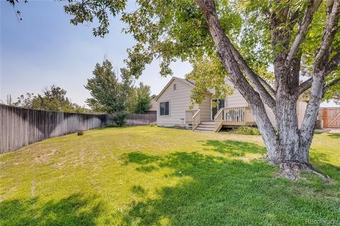 20773 E 44th Ave, Denver, CO 80249 photo 26
