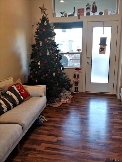 9054 E 49th Pl, Denver, CO 80238 photo 7