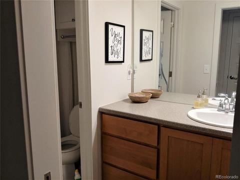 9054 E 49th Pl, Denver, CO 80238 photo 11