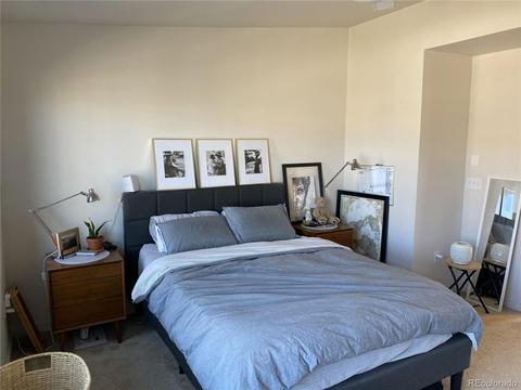 9054 E 49th Pl, Denver, CO 80238 photo 14