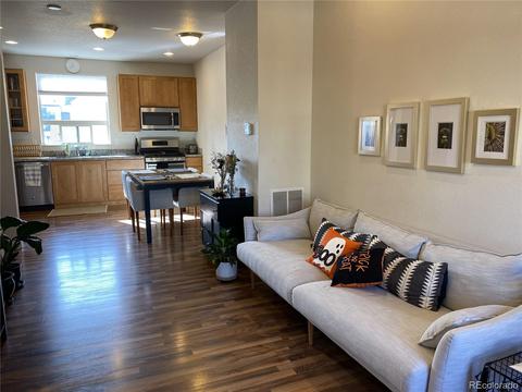 9054 E 49th Pl, Denver, CO 80238 photo 8