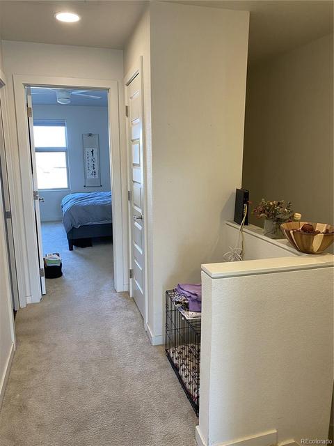 9054 E 49th Pl, Denver, CO 80238 photo 12