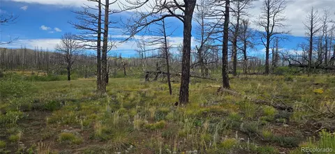 1683 Emery Loop, Fort Garland, CO 81133