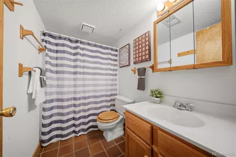 Bath - 4269 Cedar Mountain Rd, Divide, CO 80814 photo 3 of 3
