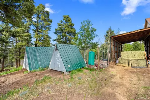Exterior - 4269 Cedar Mountain Rd, Divide, CO 80814 photo 7 of 7
