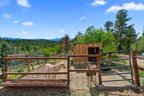 Exterior - 4269 Cedar Mountain Rd, Divide, CO 80814 photo 5 of 7